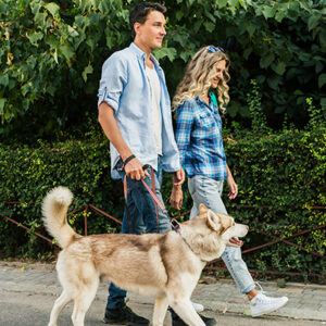 couple walking a dog