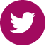 twitter logo